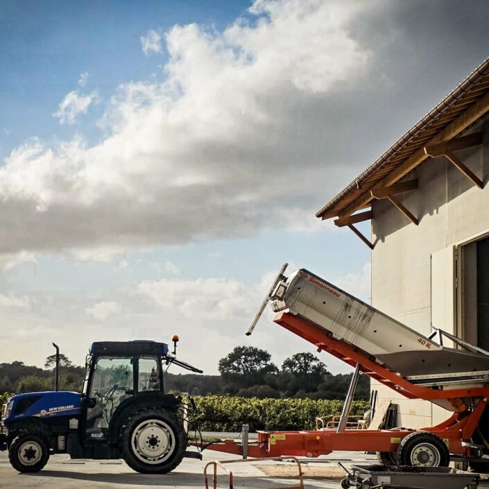 Vendanges au Château ESCOT : Une récolte de septembre pleine de nouveaux départs