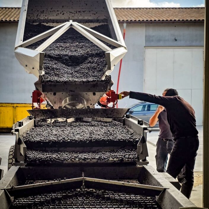 Vendanges au Château ESCOT : Une récolte de septembre pleine de nouveaux départs