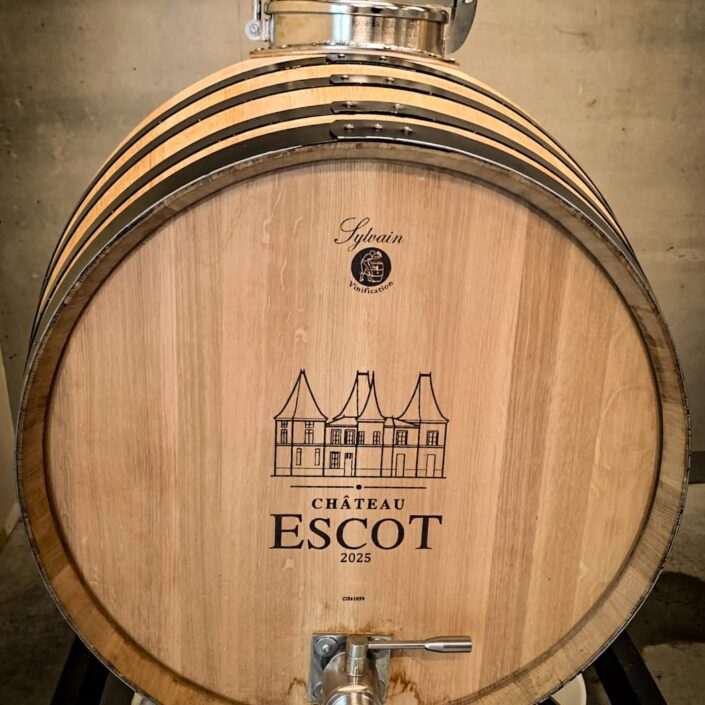Vendanges au Château ESCOT : Une récolte de septembre pleine de nouveaux départs