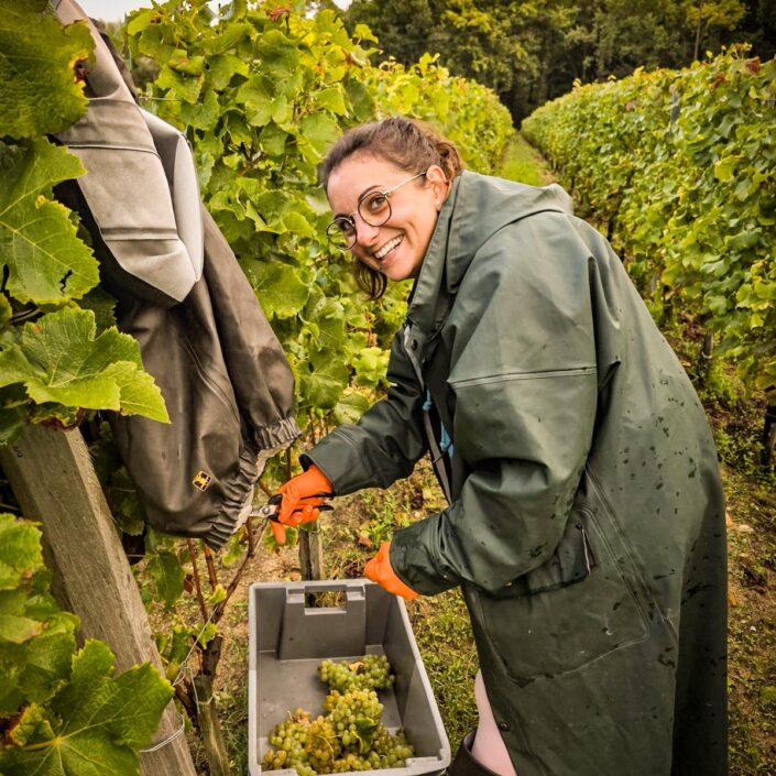 Vendanges au Château ESCOT : Une récolte de septembre pleine de nouveaux départs
