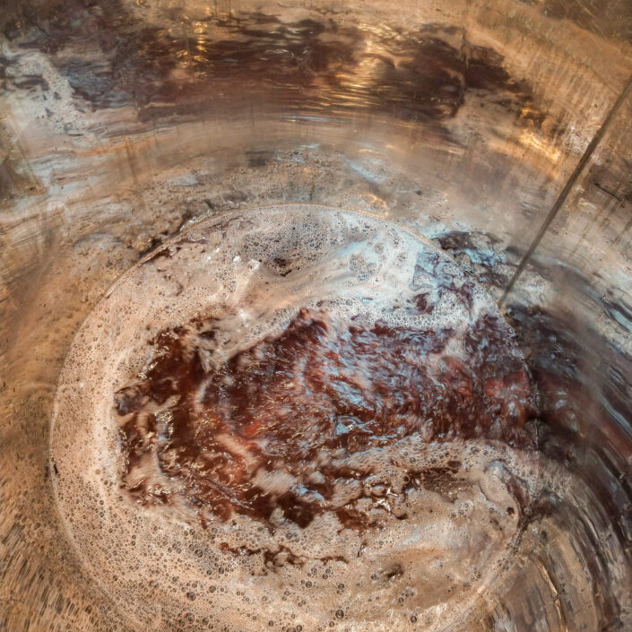 Vinobraní 2026 v Château ESCOT začalo sklizní Merlotu
