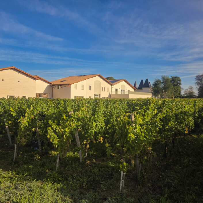 Vinobraní 2026 v Château ESCOT začalo sklizní Merlotu